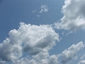 canoeing - klea and Tim S july 7 2006 french river trail - blue heron flying around